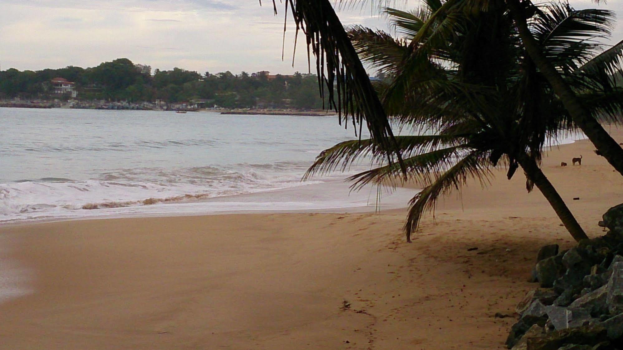 Gayana Guest House Kanattagoda Bagian luar foto